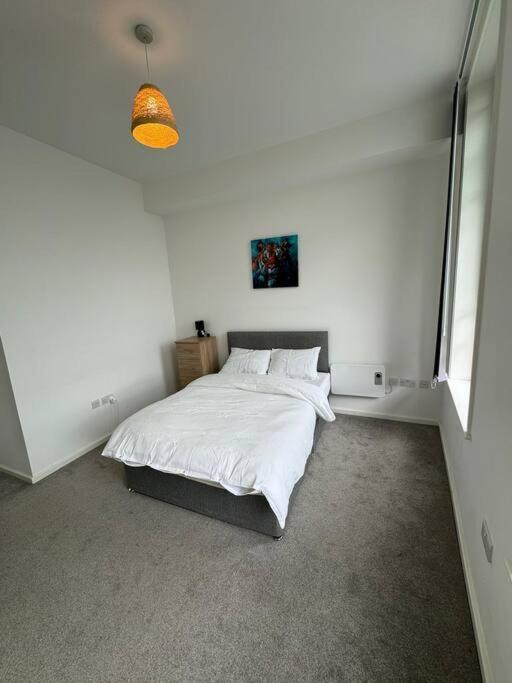 Spacious Flat In Sheffield City Center Gs304 Kültér fotó